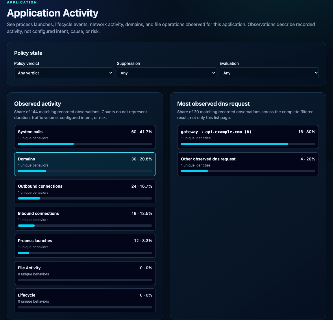 Application Activity showing observed behavior by kind and the most observed DNS requests for an example Application.