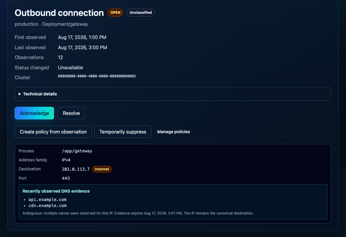 An outbound connection group for an example Application, showing the process, destination address and port, and the DNS evidence with its ambiguity and expiry.