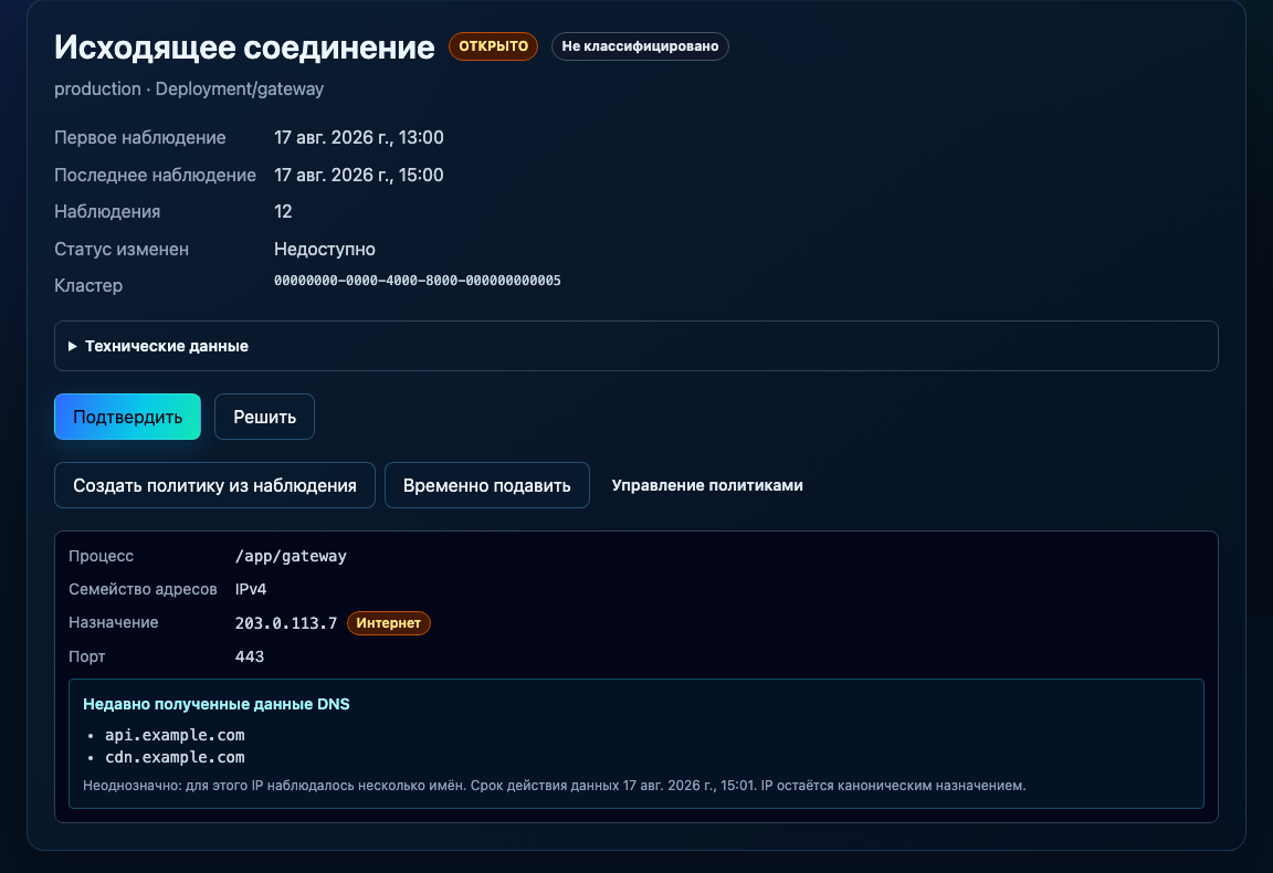 Группа исходящего соединения примерного приложения: процесс, адрес и порт назначения, свидетельства DNS с пометкой неоднозначности и сроком действия.
